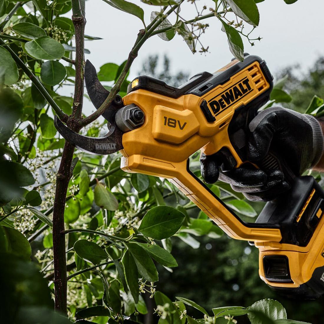 DeWalt DCMPP568P1 18v XR Cordless 38mm Pruner Inc 1x 5.0Ah Battery